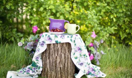 Buckwheat Tea Health Benefits_Small Tea Farmers